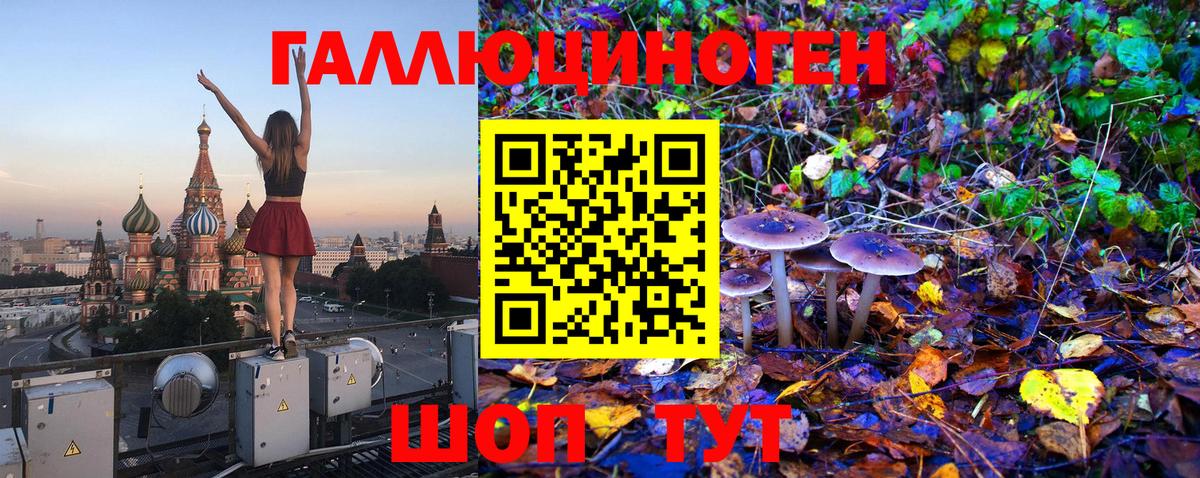 Реж  Галлюциногенные грибы Cubensis  Вход с VPN 